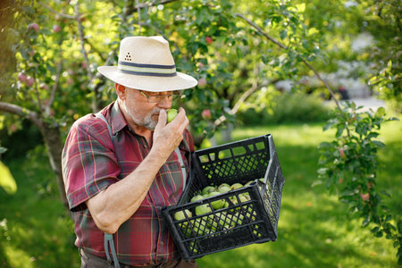 Farmer with crate of green apples standing in modern orchardの写真素材
