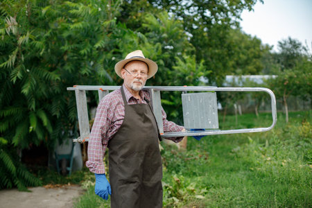 Farmer holding a ladder while standing in modern orchardの写真素材