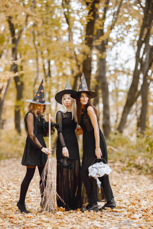 Three witches in forest on Halloweenの写真素材