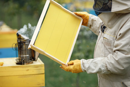 Beekeeper smoking honey bees with bee smoker on the apiary