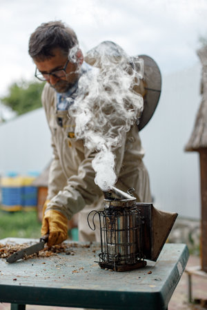 Beekeeper smoking honey bees with bee smoker on the apiaryの写真素材