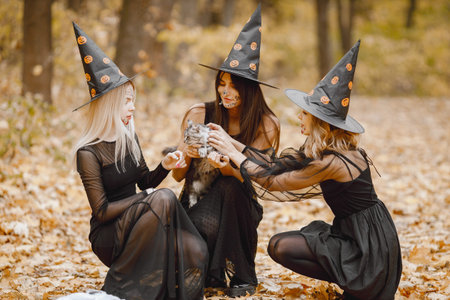 Three witches in forest on Halloweenの写真素材