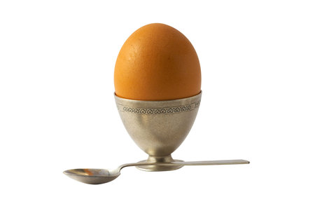 Brown egg isolated over white
