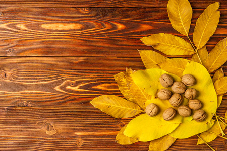 Walnuts with autumn yellow walnut leaves against the background an old wooden table.の写真素材