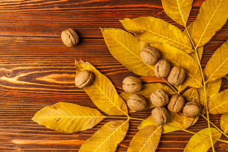 Walnuts with autumn yellow walnut leaves against the background an old wooden table.の写真素材