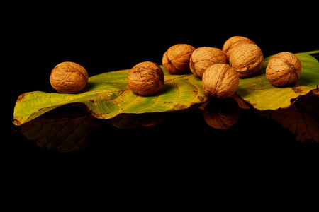 Walnuts with yellow autumn leaves isolated on black background.