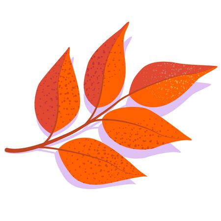 Orange vector ash leaf with shadow, isolated on white background. Single autumn leaf.のイラスト素材