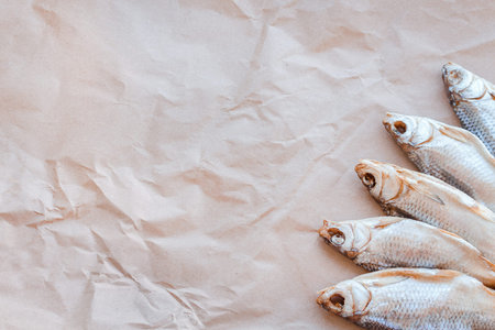Dried fishes template banner on craft paper background with empty space for text. Flat Salted roach...