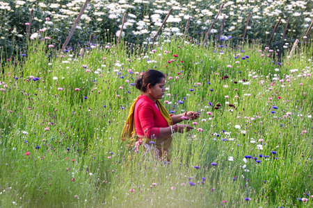 female farmers on the flower field