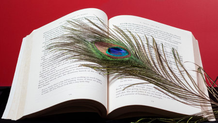 Peacock Feather and book beautiful hi-res stock photography and image