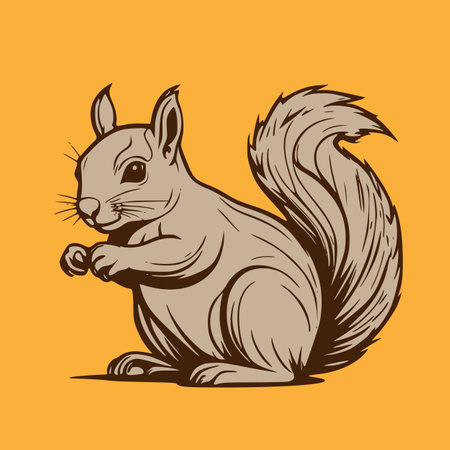 Squirrel. Vector illustration of a squirrel on a yellow background.のイラスト素材