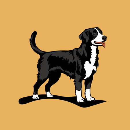 Puppy of Bernese Mountain Dog. Vector Illustration.のイラスト素材