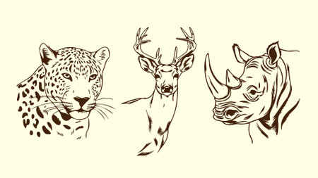 Set of hand drawn wild animals on white background. Vector illustration.のイラスト素材