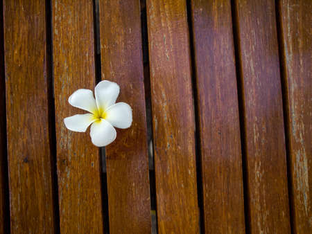 Flower on the wooden tableの写真素材