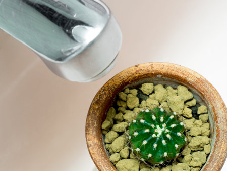 Cactus tree placed under the faucet To support the small water droplets from the faucet. But for the cactus , one water drop then. Have many values. et's save waterの写真素材