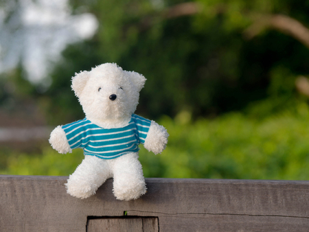 White teddy bear wearing a blue shirt on the wood behind is a green tree and river.の写真素材