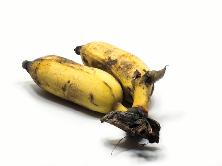 Cultivated banana on the white background (Isolated & clipping part). The yellowish and black color is caused by the old banana.の写真素材