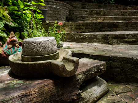 Ancient millstone have green lichen around and Ancient millstone put on old wooden boards. Behind...