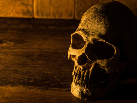The skull is placed on a wooden table. The background is a wooden plate and light from the candle to the skull.の写真素材