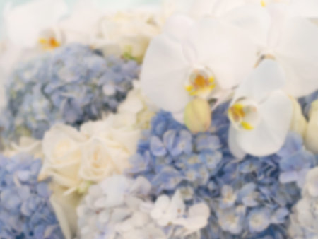 Soft and blur focus of white orchid flower and purple orchid flower of background concept