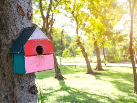 Colorful Bird Houses in the park Hanging on a tree, The bird house was placed at various points.birdhouse forest with many brightly colored bird houses built to attractの写真素材