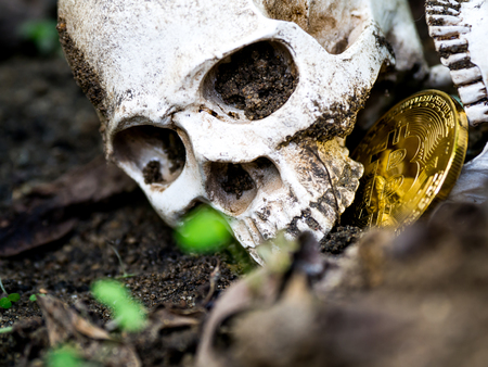 Close up of Skull biting bitcoin on the ground Leaves dry on the ground and the side of the skull and Golden bitcoin. The concept of investment and fluctuation of bitcoin and cryptocurrency.の写真素材