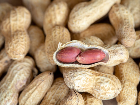 Closeup dried peanuts in shells on peanuts background on wooden table. Concept of snack