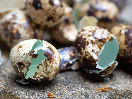 close up of quail eggs shell on the cement floor