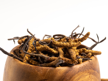 Close up Cordycep sinensis (CHONG CAO) or mushroom cordyceps on Wooden bowl on isolated background. Medicinal properties in the treatment of diseases. National organic medicine.の写真素材