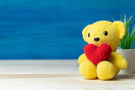 hand make yarn red heart put on yellow teddy bear in front of white pot and green ornamental plants on wooden table and blue background. Concept of valentines day.の写真素材