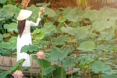 Beautiful asia women wearing white white traditional Vietnam dress (Ao Wai) and Vietnam farmer's hat and standing on wooden boat in flower lotus lake. Her hands holding lotus flowers.の写真素材
