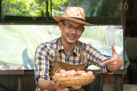young smart farmer wear plaid long sleeve shirt brown apron are holding fresh chicken eggs into...