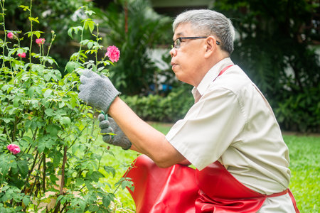 A happy and smiling Asian old elderly man is pruning twigs and flowers for a hobby after retirement...
