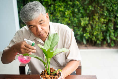 A happy and smiling Asian old elderly man is planting for a hobby after retirement in a home. Concept of a happy lifestyle and good health for seniors.の写真素材