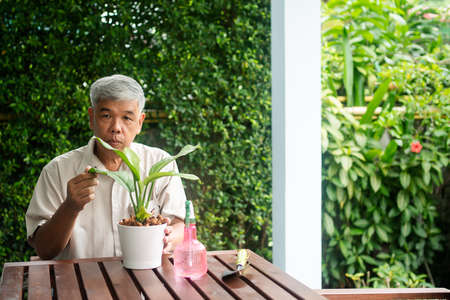 A happy and smiling Asian old elderly man is planting for a hobby after retirement in a home. Concept of a happy lifestyle and good health for seniors.の写真素材