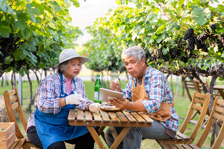 Portrait of senior winemaker holding in his hand a glass of new white wine. Smiling happy elderly couple enjoying a picnic together in own vineyard. Agricultural concept, Small business, retirementの写真素材