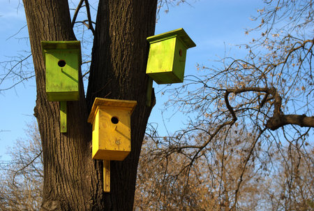 Starling-house