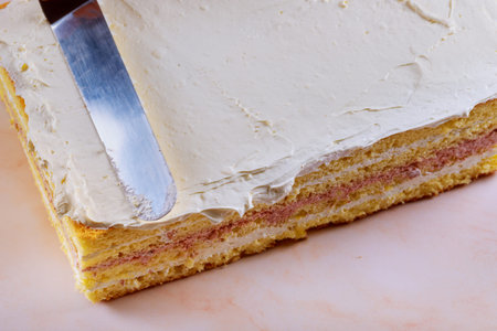 Layer sponge cake with wipped cream cheese and blended sour cherry filling.
