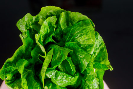 Single romaine heart lettuce head over black background.