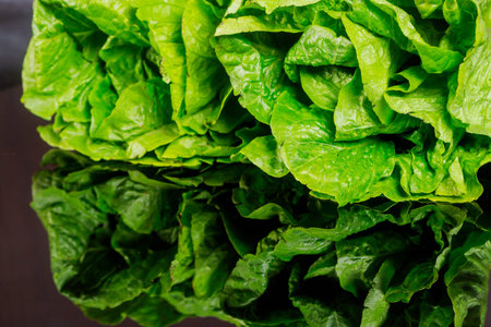 Romaine heart lettuce head over black background.