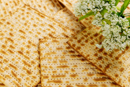 Matzah bread with white flowers. Jewish Passover holiday concept. Close up.