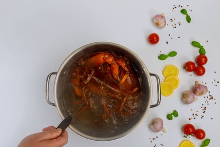 Woman cooks lobsters in pot with cpice and herb. Top view.の写真素材