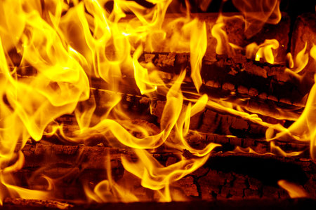 Burning fire bonfire of flames burning of wood on fire background