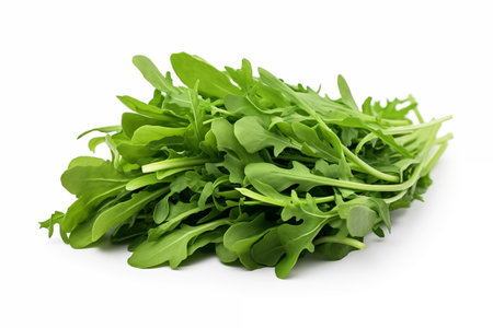 A fresh arugula leaf isolated on white. AI generation.の素材