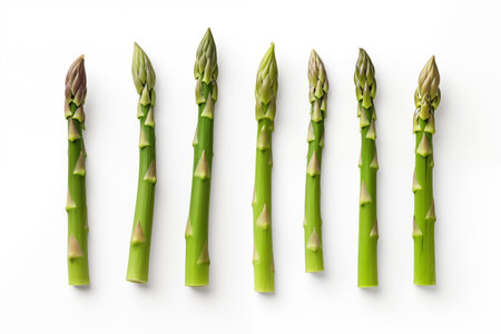 On a white background, fresh asparagus sprouts are isolated. AI generation.の素材