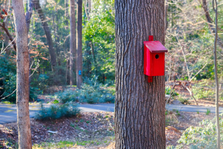 Red birdhouse nailed into a tree in a forest.の写真素材