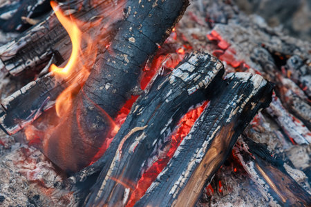 A bonfire of burning logs with flames of red and orange color.の写真素材