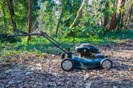 The lawn mower sits idle on a forested path, surrounded by greenery and fallen leaves. Sunlight filters through the trees, creating a peaceful atmosphere.の写真素材