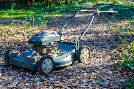 The vintage lawn mower sits unused among a carpet of dry leaves, surrounded by lush greenery, capturing the essence of a serene autumn day in the garden.の写真素材