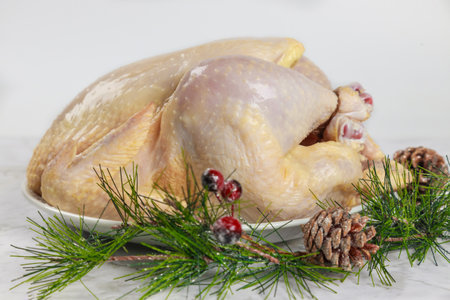 Whole chicken sits on white plate, surrounded by pine branches and berries, ready for holiday festivities.の写真素材